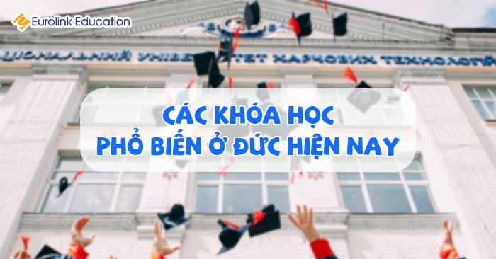 Các khóa học phổ biến ở Đức hiện nay